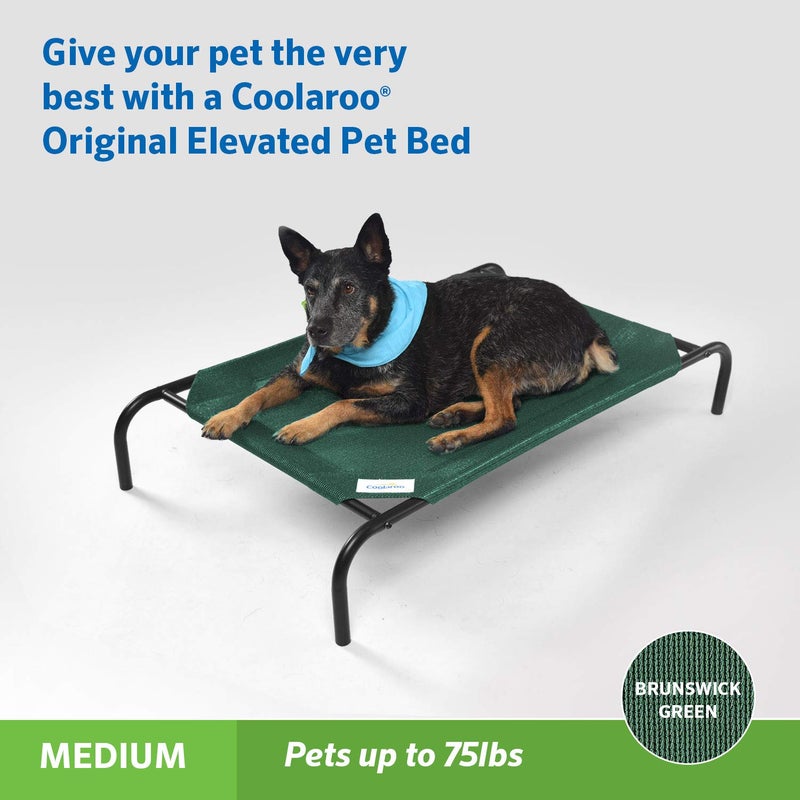 Coolaroo The Original Cooling Elevated Pet Bed, Medium, Brunswick Green - Image 2